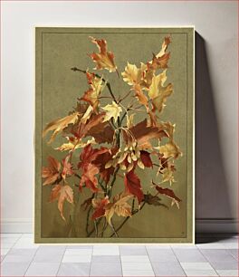 Πίνακας, Autumn leaves, no. 2 (maple) by Ellen Thayer Fisher