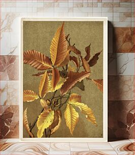 Πίνακας, Autumn Leaves no. 3 Beech by Ellen Thayer Fisher