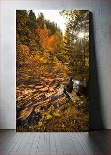 Πίνακας, Autumn Reflection Φθινοπωρινή Αντανάκλαση