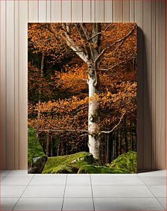 Πίνακας, Autumn Tree in the Forest Φθινοπωρινό Δέντρο στο Δάσος