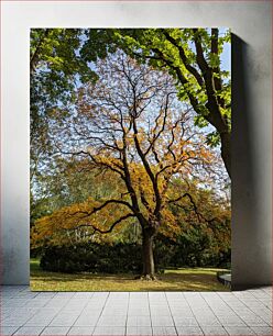 Πίνακας, Autumn Tree in the Park Φθινοπωρινό Δέντρο στο Πάρκο