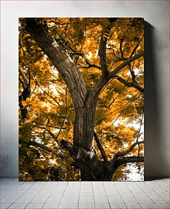 Πίνακας, Autumn Tree Φθινοπωρινό Δέντρο