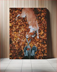 Πίνακας, Autumn Walk with Dog Φθινοπωρινή βόλτα με σκύλο