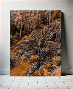 Πίνακας, Autumnal Forest Landscape with Rock Formations Φθινοπωρινό δασικό τοπίο με βραχώδεις σχηματισμούς