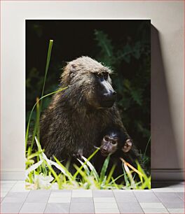 Πίνακας, Baboon and Baby in Nature Μπαμπουίνος και μωρό στη φύση