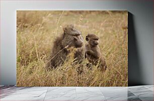 Πίνακας, Baboons in the Wild Baboons in the Wild