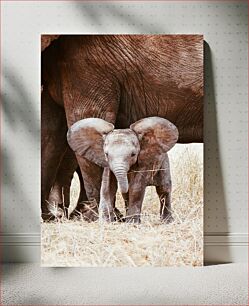 Πίνακας, Baby Elephant in the Wild Baby Elephant in the Wild