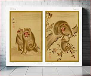 Πίνακας, Baby monkey and mother, vintage Japanese animal painting by G.A. Audsley-Japanese illustration