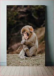 Πίνακας, Baby Monkey with a Stick Μωρό μαϊμού με ραβδί
