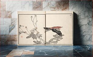 Πίνακας, Bairei Picture Album of One Hundred Birds