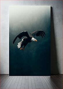 Πίνακας, Bald Eagle in Flight Φαλακρός αετός σε πτήση
