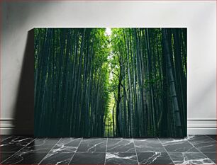 Πίνακας, Bamboo Forest Μπαμπού Δάσος