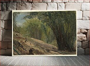 Πίνακας, Bamboo Grove, Jamaica by Frederic Edwin Church, American, 1826–1900
