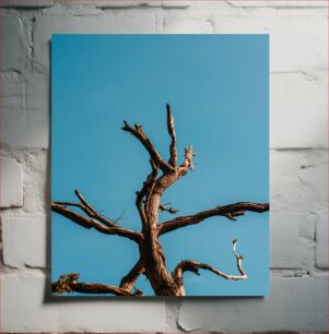 Πίνακας, Bare Tree Against Blue Sky Γυμνό δέντρο ενάντια στο γαλάζιο του ουρανού
