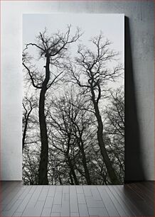 Πίνακας, Bare Trees in Winter Γυμνά δέντρα το χειμώνα