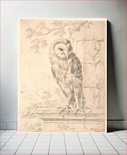 Πίνακας, Baron von Stosch's owl by Marcus Tuscher