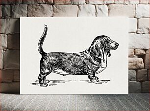 Πίνακας, Basset Hound Dog, vintage pet animal illustration by Pearson Scott Foresman