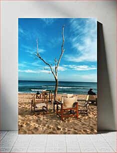 Πίνακας, Beach Chairs and a Bare Tree on a Sunny Day Καρέκλες παραλίας και ένα γυμνό δέντρο μια ηλιόλουστη μέρα
