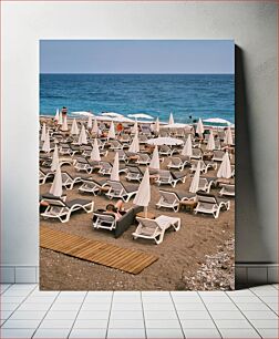 Πίνακας, Beach with Sun Loungers and Umbrellas Παραλία με ξαπλώστρες και ομπρέλες