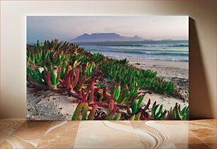 Πίνακας, Beachside Flora with Mountain View Παραθαλάσσια Χλωρίδα με θέα στο Βουνό