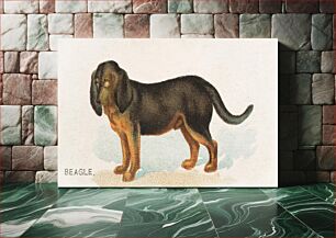 Πίνακας, Beagle, from the Dogs of the World series for Old Judge Cigarettes (1890), vintage animal illustration by Goodwin & Company