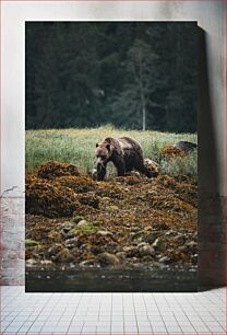 Πίνακας, Bear in Natural Habitat Αρκούδα στο φυσικό βιότοπο