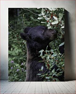 Πίνακας, Bear in Nature Αρκούδα στη φύση