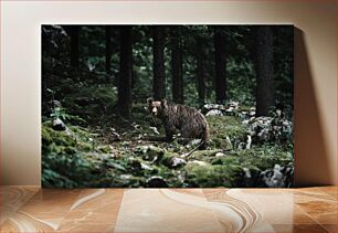 Πίνακας, Bear in the Forest Αρκούδα στο Δάσος