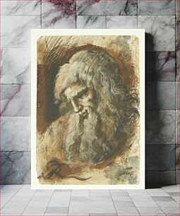 Πίνακας, Bearded male head in profile to left by Giuseppe Ribera