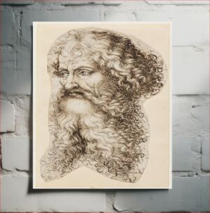 Πίνακας, Bearded male head in three-quarter profile to left by Martin Schongauer