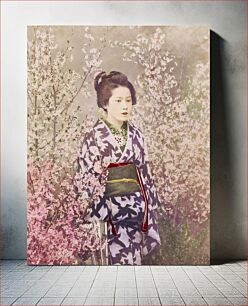 Πίνακας, Beautiful photomechanical prints of a Geisha and Cherry Blossom (1887–1897) by Ogawa Kazumasa