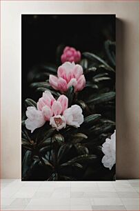 Πίνακας, Beautiful Pink Flowers in Bloom Όμορφα ροζ λουλούδια στην άνθιση