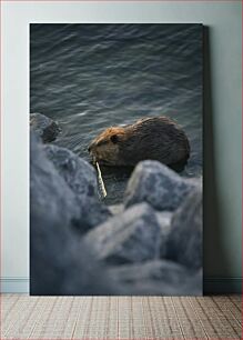 Πίνακας, Beaver by the Rocky Shore Beaver by the Rocky Shore