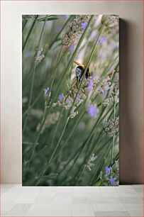 Πίνακας, Bee Amongst Lavender Μέλισσα ανάμεσα στη λεβάντα