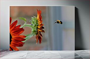 Πίνακας, Bee Approaching Sunflower Μέλισσα που πλησιάζει τον ηλίανθο