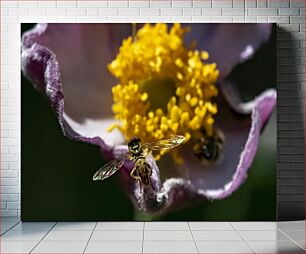 Πίνακας, Bee on a Flower Μέλισσα σε λουλούδι