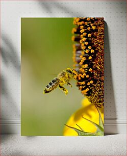 Πίνακας, Bee on a Flower Μέλισσα σε λουλούδι