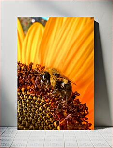 Πίνακας, Bee on a Sunflower Μέλισσα σε ηλίανθο