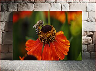 Πίνακας, Bee on a Vibrant Flower Μέλισσα σε ένα ζωντανό λουλούδι