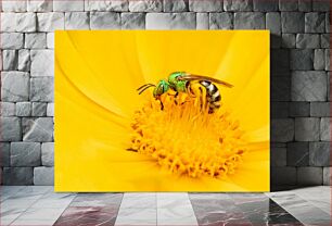 Πίνακας, Bee on a Yellow Flower Μέλισσα σε κίτρινο λουλούδι