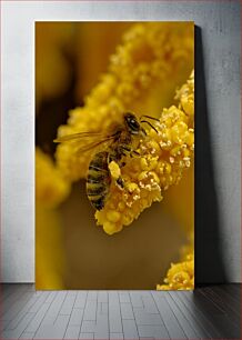 Πίνακας, Bee on a Yellow Flower Μέλισσα σε ένα κίτρινο λουλούδι