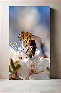 Πίνακας, Bee on Blossom Bee on Blossom