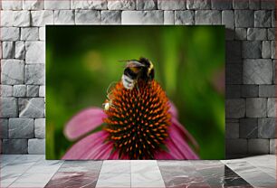 Πίνακας, Bee on Flower Μέλισσα στο λουλούδι