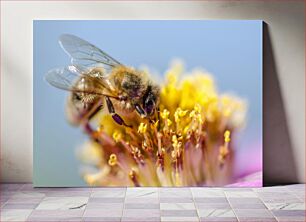 Πίνακας, Bee on Flower Μέλισσα στο λουλούδι