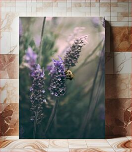 Πίνακας, Bee on Lavender Flower Μέλισσα στο λουλούδι λεβάντας