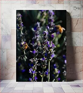 Πίνακας, Bee on Lavender Μέλισσα στη Λεβάντα