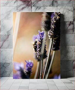 Πίνακας, Bee on Lavender Bee on Lavender