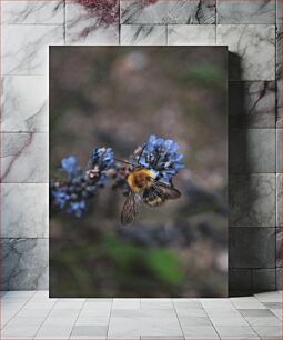 Πίνακας, Bee on Lavender Bee on Lavender