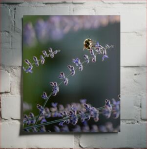 Πίνακας, Bee on Lavender Μέλισσα στη Λεβάντα