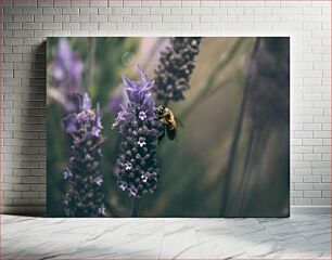 Πίνακας, Bee on Lavender Μέλισσα στη Λεβάντα